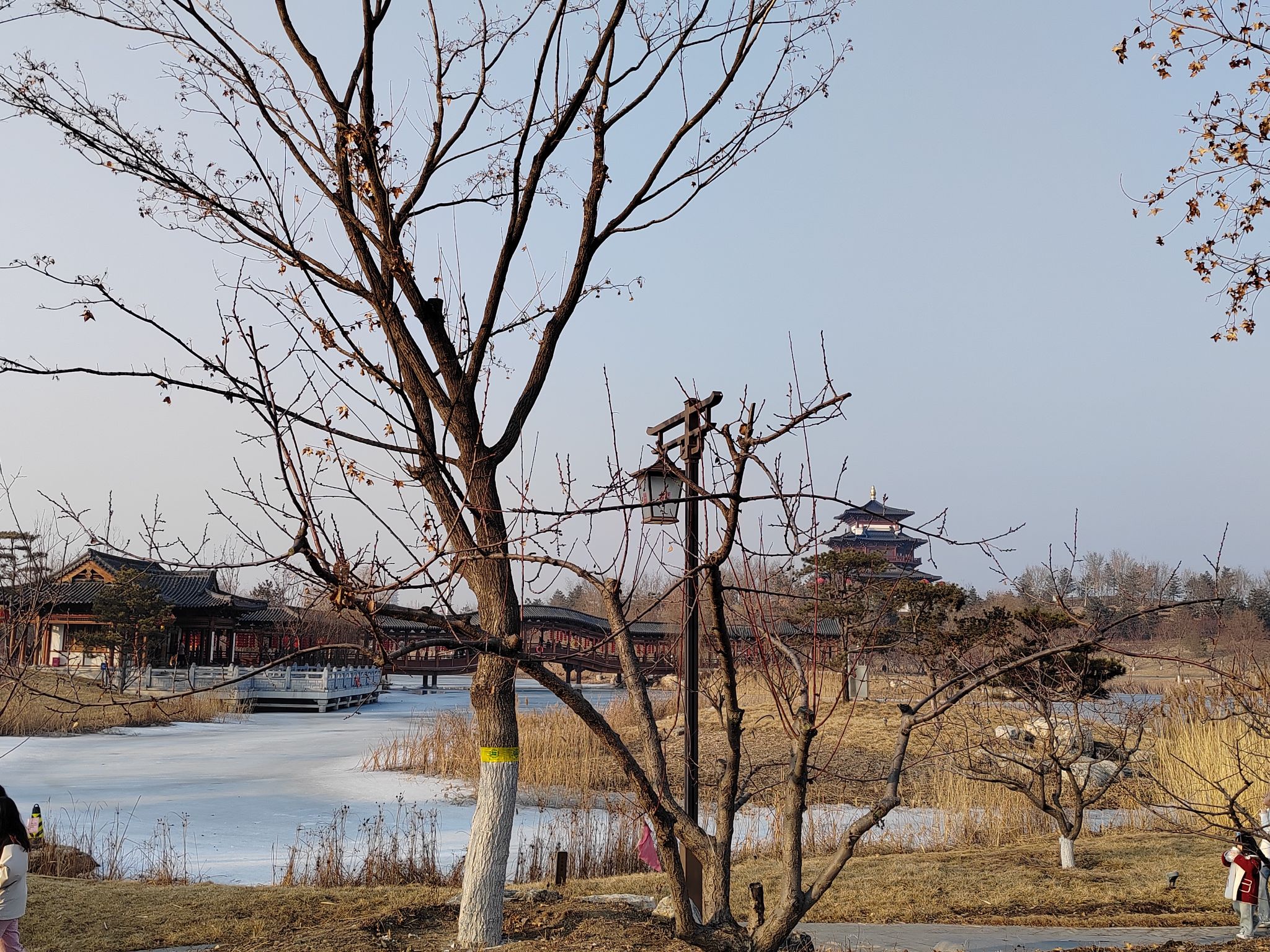 悦容台