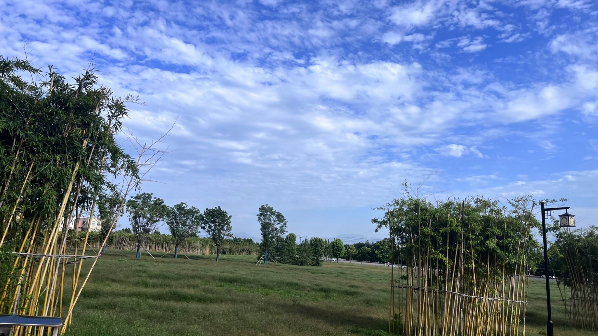 首阳山森林公园旅行图片
