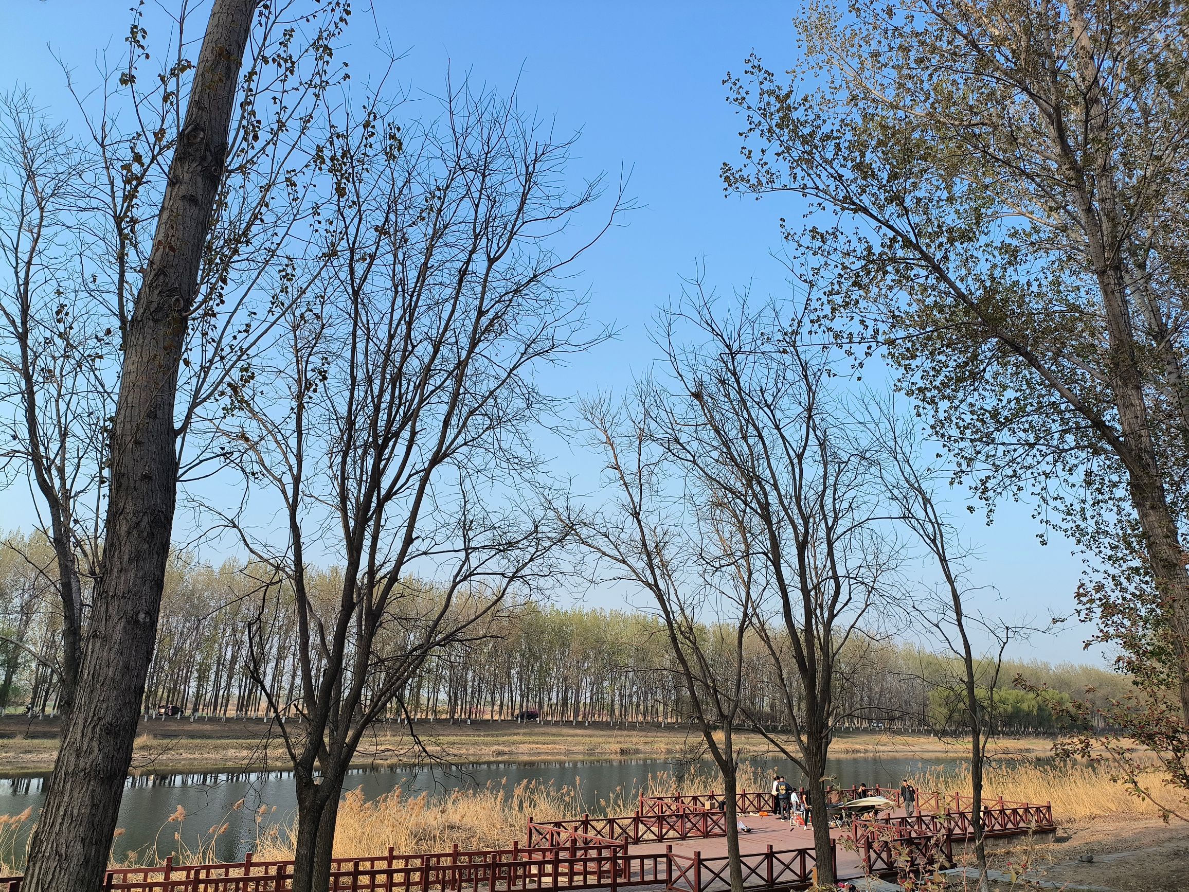 龙凤河观景台旅行图片