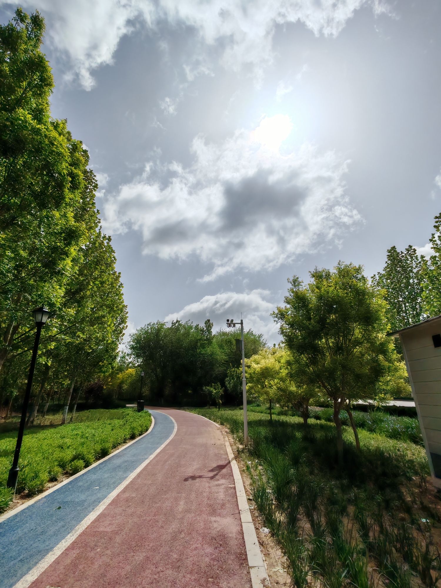 故城县植物园旅行图片