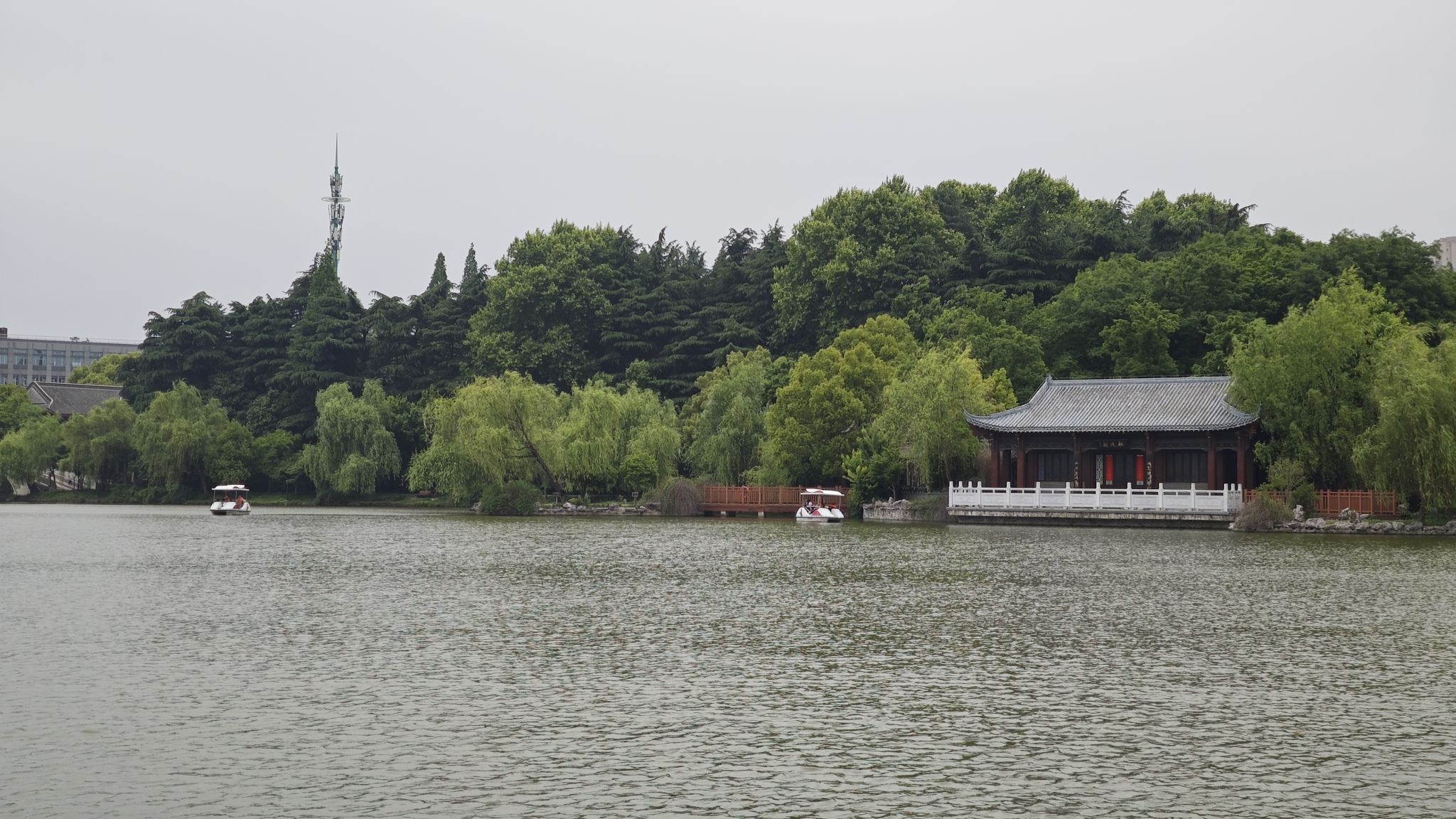 扬子公园旅行图片