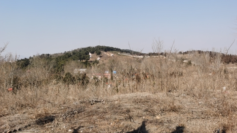 茶山旅游区旅行图片