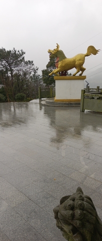 咸祥镇金山公园旅行图片