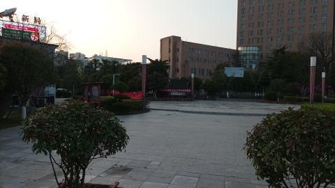 新华游园
