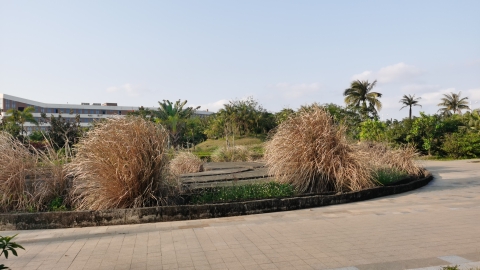 金盛达湖景公园旅行图片