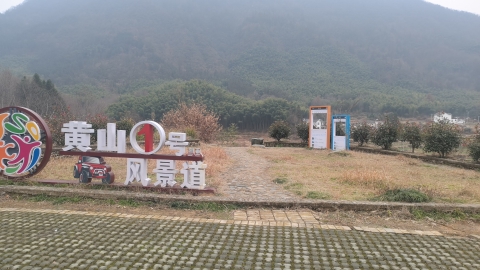 油菜花观景点