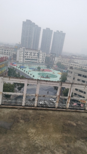 大井头口袋公园