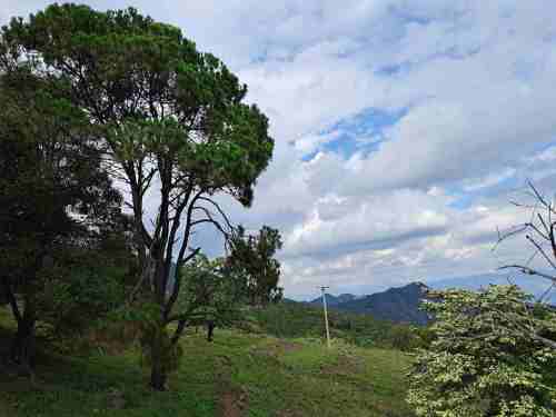 攀枝花大黑山森林公园小石林垭口旅行图片