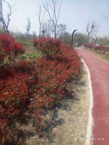 包集公园旅行图片