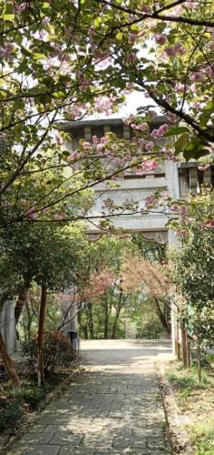 螺蛳山公园旅行图片