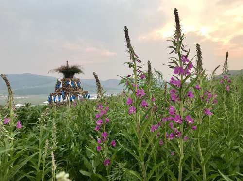 柳兰谷旅行图片