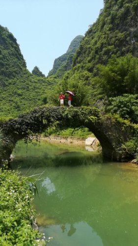 黄花公园旅行图片