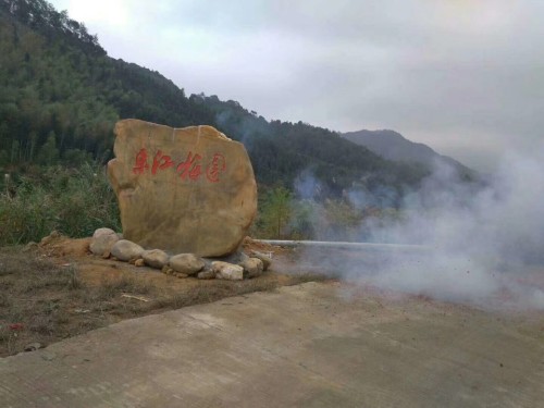 东江梅园旅行图片