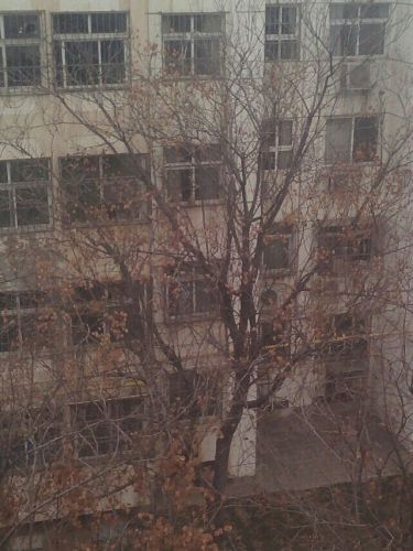 子路博物馆旅行图片