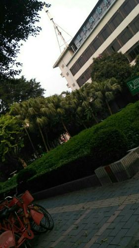 白燕公园旅行图片