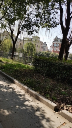 黄家文体公园旅行图片