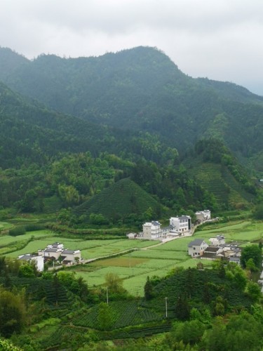 柯村风光观景台旅行图片