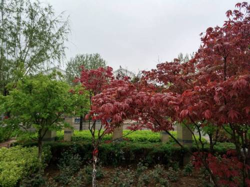 邓州市湍河风景区旅行图片