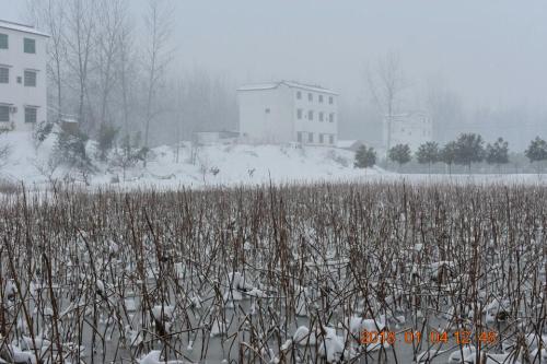 白露河乡村旅游区旅行图片