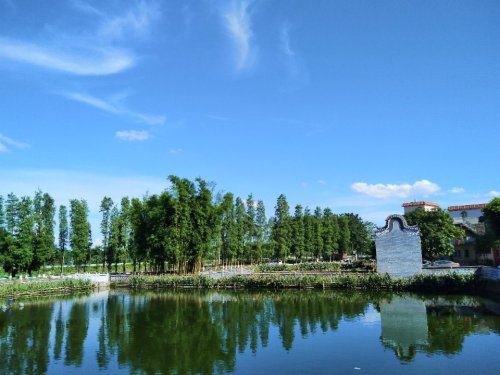 蟹泉仙井旅行图片