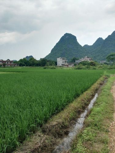 茅坡文化南楼旅行图片