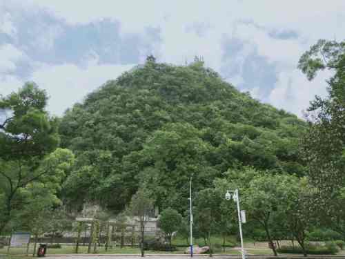 横山公园旅行图片