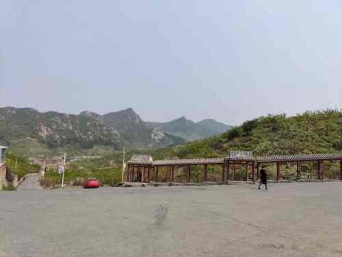 祖树园旅行图片