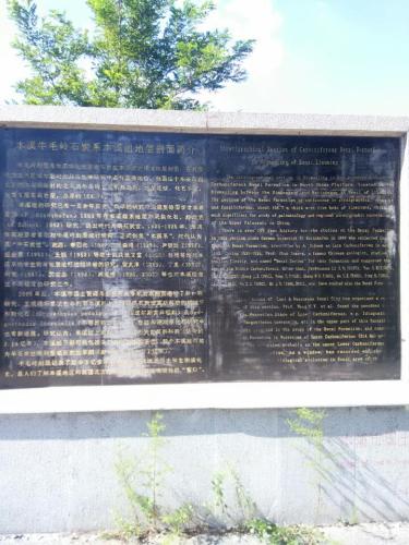 牛毛岭景区国家地质公园旅行图片