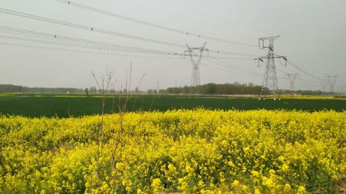 青龙湖风景区旅行图片