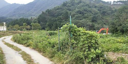 云山殿旅行图片