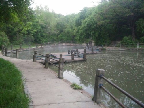 天井公园旅行图片