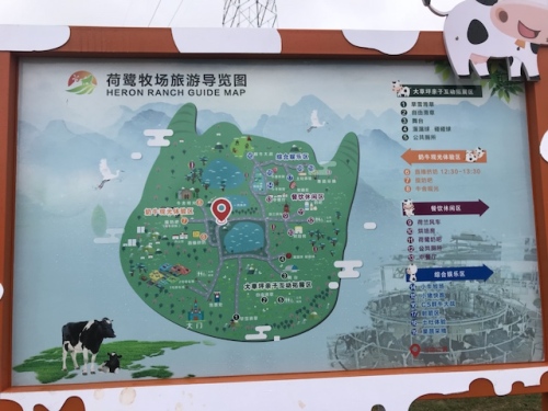 荷鹭风情小镇旅行图片