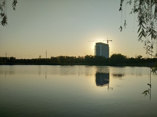 莲花公园旅行图片