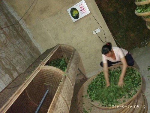 梅记泰山楼旅行图片