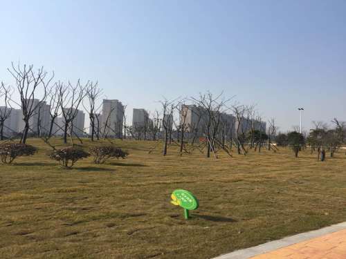 仪征五一公园旅行图片