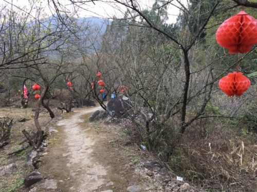 老仙洞风景区旅行图片