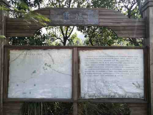 大帽山三角梅园旅行图片