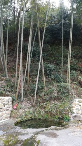 瓢泉(辛弃疾故居)旅行图片