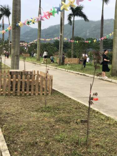美禾奇趣园旅行图片