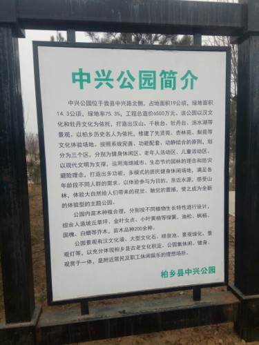 中兴公园旅行图片