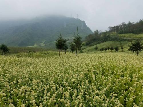 大瓦山五池水利风景区旅行图片