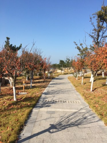 河萍公园旅行图片