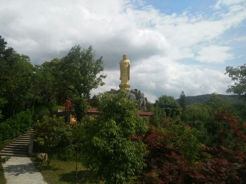 鲤龙潭森林公园旅行图片