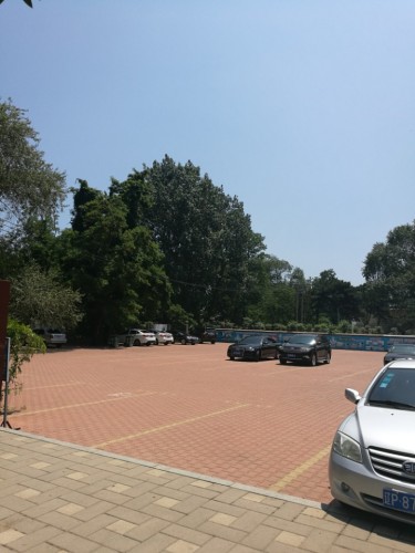 兴海公园旅行图片