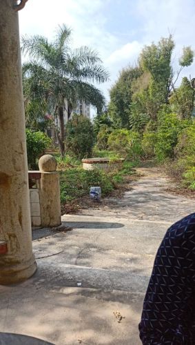 吴嵩喜纪念公园旅行图片