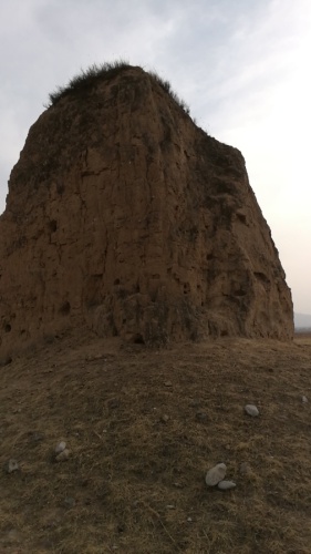 梵王寺墓群旅行图片