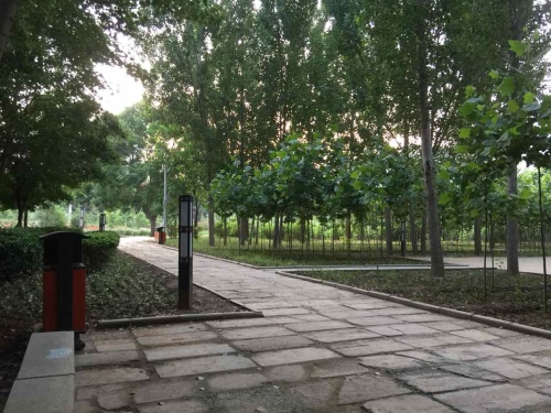 创业公园旅行图片