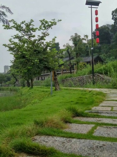 深圳甘坑客家小镇旅行图片