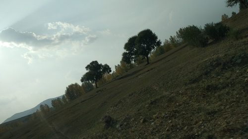 阿鲁布拉克沙漠公园旅行图片