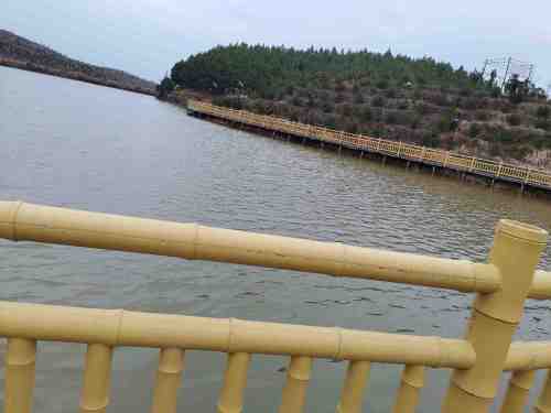 汪家乡村森林公园旅行图片